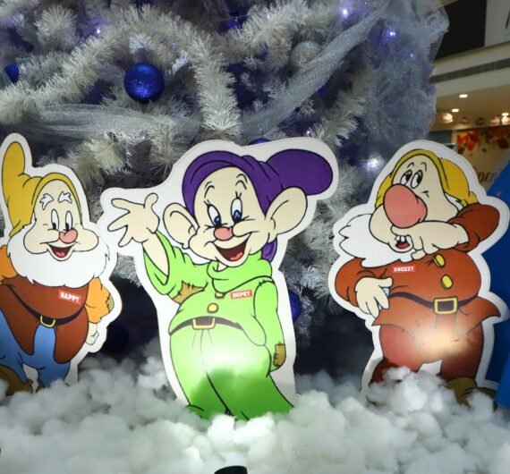 Christmas Decoration 3