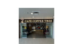 Cafe-Coffee-Tree